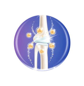 کپسول های تقویتی