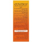 شربت زینک پلاس ویوا کیدز